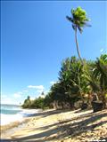 Playa de Antonio - RINCÓN